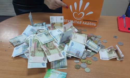 чуть более 25 тысяч рублей пожертвовали амурчане на лечение пятилетнего благовещенца с дцп
