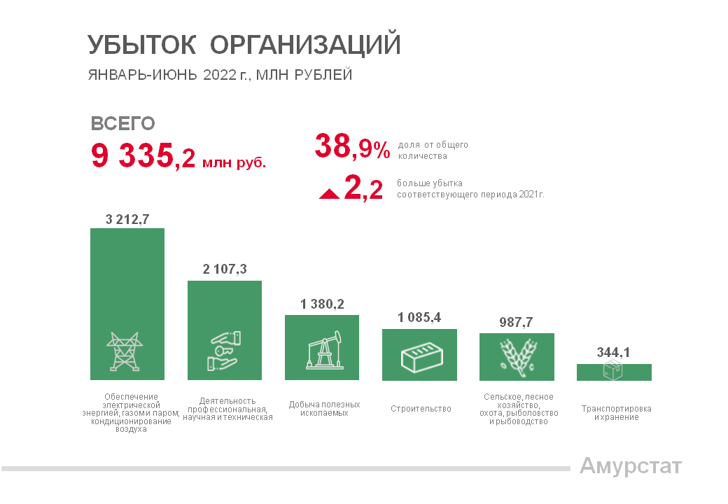 Амур статистика. Амурстат. Статистика области. 75 Лет инфографика. Инфографика статистики деятельности аэропорта.