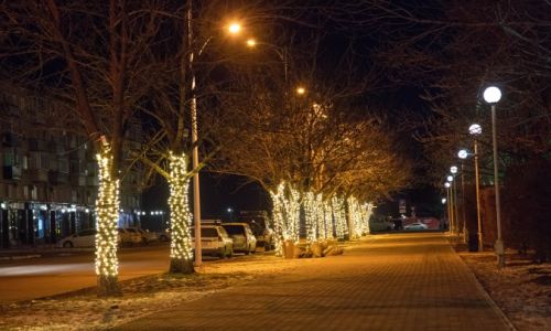 звездное небо и сияющие деревья: благовещенск начали украшать новогодней иллюминацией
