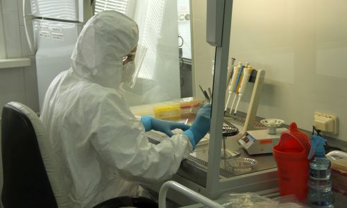 количество зараженных коронавирусом в россии за сутки увеличилось на 1 154 человека
