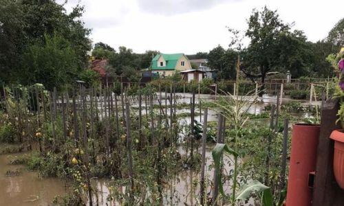 благовещенцы, чьи дома пострадали от ливня, получат денежные компенсации
