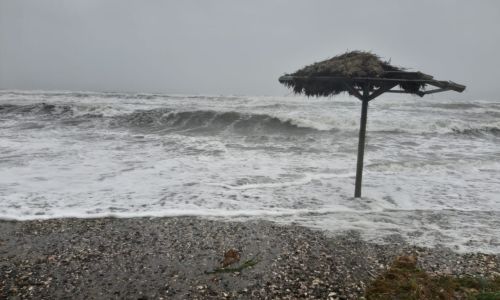 владивосток накрыл мощный тайфун: с домов срывает крыши, повалены сотни деревьев, уплыл док
