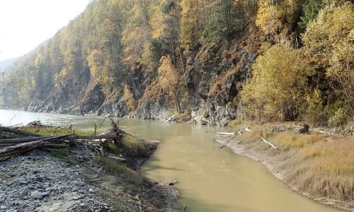 минприроды региона снова выявило факты загрязнений рек золотодобытчиками в селемджинском районе
