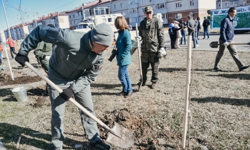 27 млн деревьев высадят по всей россии в память о каждом, кто погиб в великой отечественной войне
