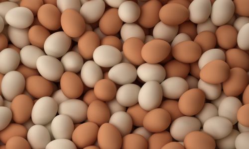 яйца и мясо птицы могут подорожать на 10 %
