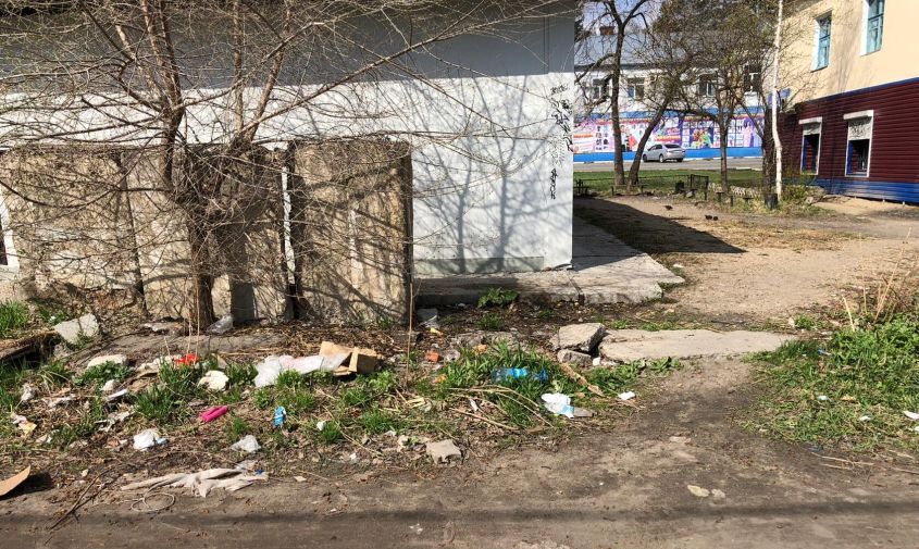 «сплошная мусорка»: житель райчихинска пожаловался на грязь и навоз в центре города

