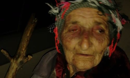 пропавшую пять дней назад в приамурье 81-летнюю пенсионерку нашли живой
