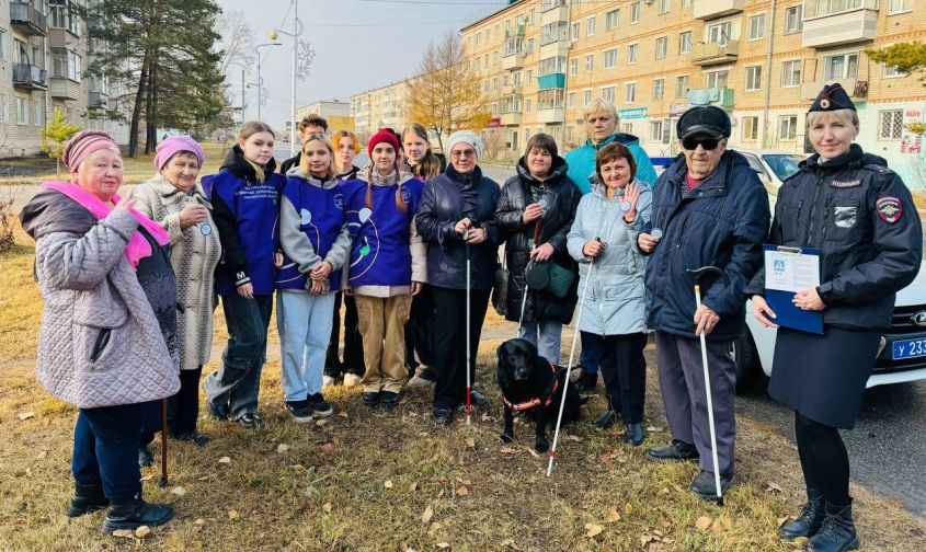 в шимановске водителям объяснили, что делать, если дорогу переходит человек с белой тростью
