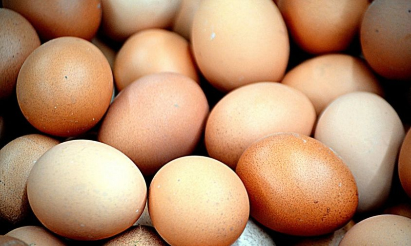 амурское предприятие снизило отпускные цены на куриные яйца 
