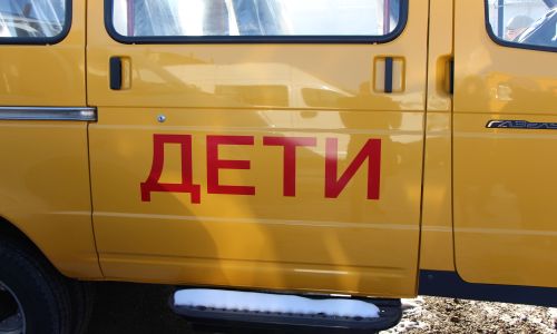 почти 40 школьных автобусов получат школы приамурья от минпросвещения рф
