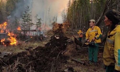 якутия в огне: на территории республики бушует 325 природных пожаров
