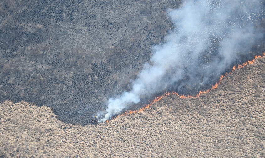 минлес: почти 90 % лесных пожаров в приамурье ликвидируется за день
