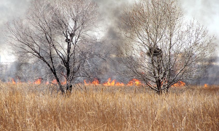 на территории амурской области закрыт пожароопасный сезон
