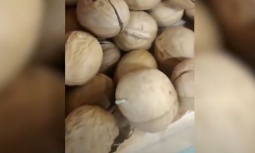 орешки с «сюрпризом» принесли читателю «амурской службы новостей» 5 тысяч рублей