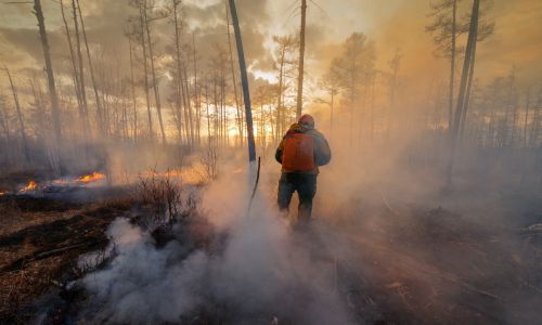 василий орлов ответил критикам отчета о лесных пожарах в приамурье
