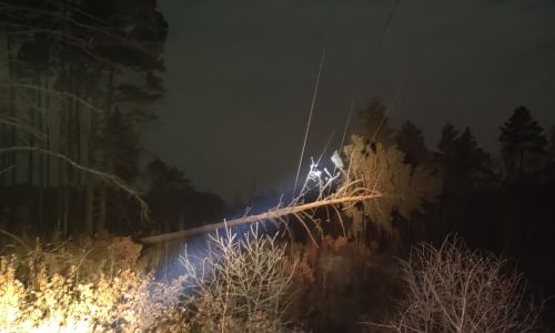 «черные лесорубы» оставили без электричества 16 сел в свободненском районе
