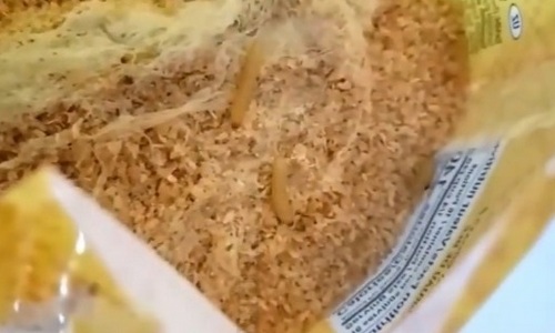 «чистая, отборная»: амурчанка купила пшеничную крупу с червями