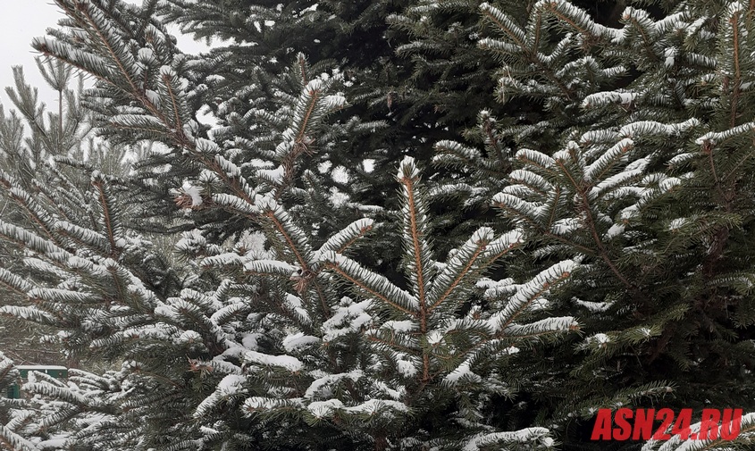 Прогноз погоды в Амурской области на 5 января