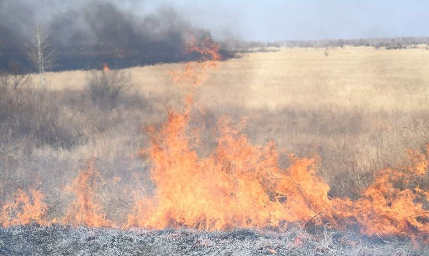 маленькие «пироманы» нашли зажигалку и подожгли сухую траву в амурском селе
