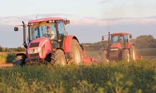 губернатор василий орлов поддержал увеличение подъемных для молодых аграриев до 800 тысяч рублей
