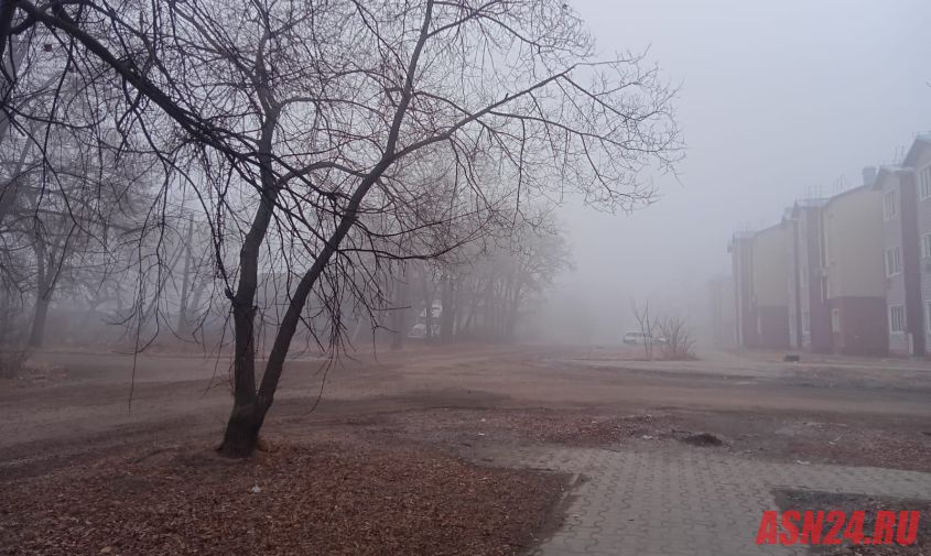 синоптики назвали самый туманный поселок амурской области

