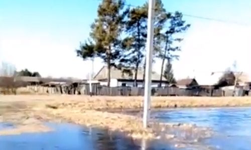 житель серышевского района пожаловался на разлившийся посреди села ручей 
