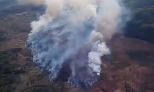 высокое пламя и бездорожье: парашютисты тушат сложный пожар в магдагачинском районе