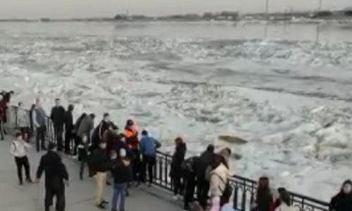 благовещенские спасатели вытащили провалившегося под лед амура подростка