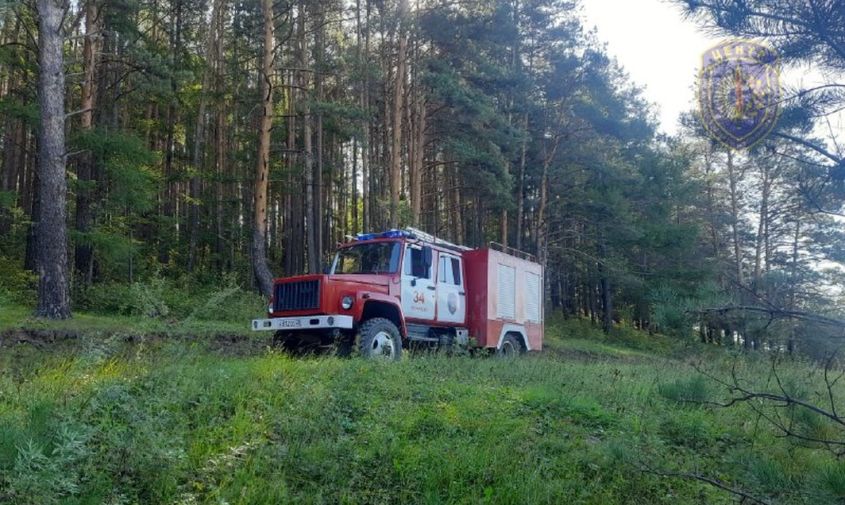 в магдагачинском округе полтора часа прочесывали лес в поисках потерявшейся женщины-грибника