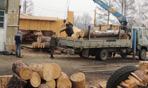 в шимановске обнаружили незаконный пункт отгрузки древесины