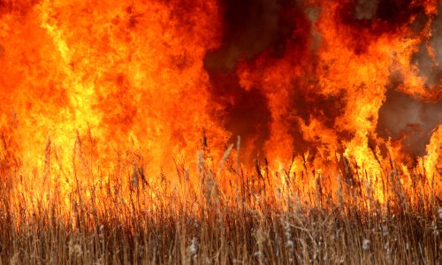 пожароопасный сезон открыт на всей территории амурской области
