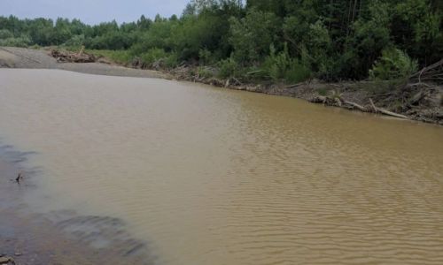 золотодобытчику, загрязняющему амурскую реку, запретили работать три месяца