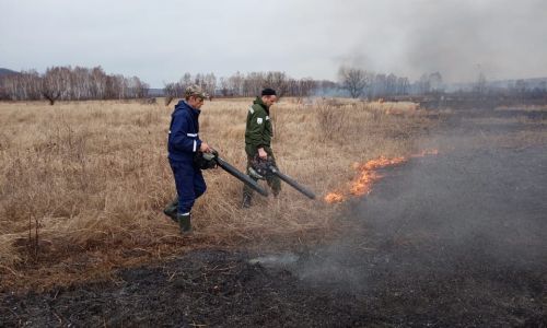 два природных пожара ликвидировали в архаринском районе
