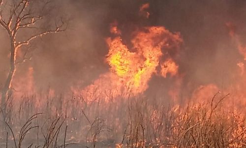 в амурской области ликвидировано три природных пожара
