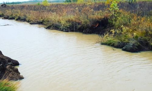 золотодобытчик, отрицавший загрязнение ручья в зейском районе, все-таки заплатил многомиллионный штраф