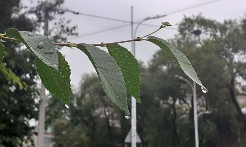 на приамурье обрушатся ливни с грозами, град и шквалистый ветер
