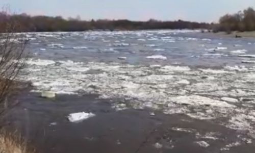 реки южной части приамурья освобождаются ото льда
