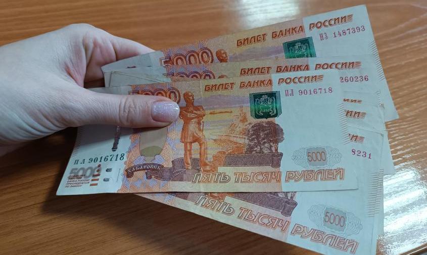 Считаем доход: кому из амурчан положена новая ежегодная семейная выплата и как ее получить