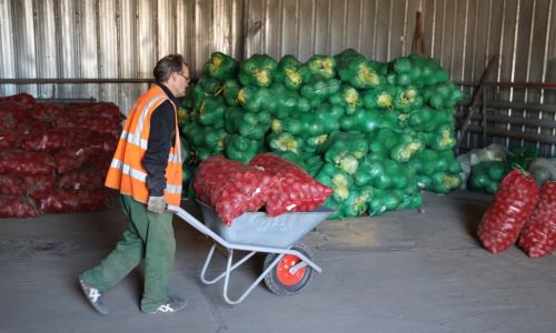 благовещенцы получили почти 10 тонн овощей взамен утерянного урожая
