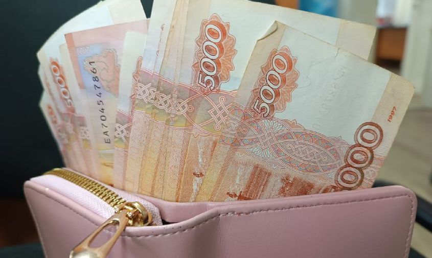 Амурская область попала в топ-20 российских регионов по доходам населения (ИНФОГРАФИКА)