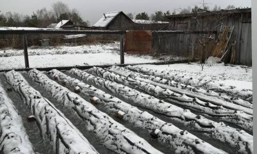 огороды амурчан в зейском районе накрыло снегом
