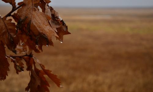 «аномального» тепла в приамурье не предвидится
