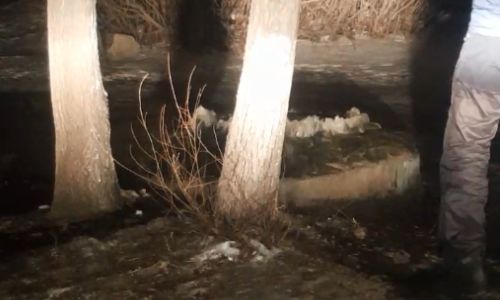 благовещенец снова снял бьющую из канализации воду на игнатьевском шоссе
