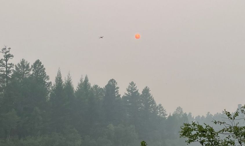 «оранжевое солнце, дышать нечем»: жители амурского севера жалуются на едкий смог от лесных пожаров
