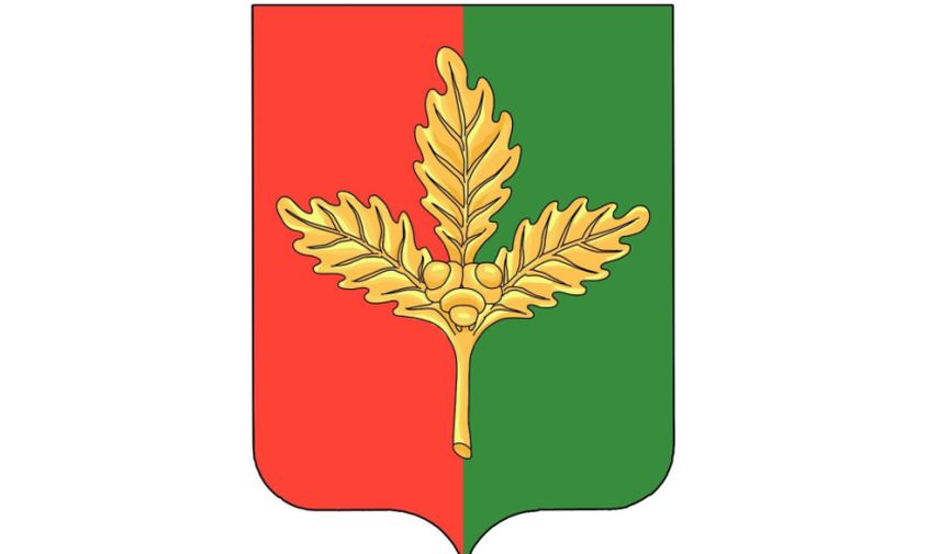 золотая дубовая ветвь: у амурского поселка прогресс появился первый официальный герб 
