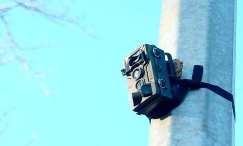 переносные камеры проследят за теми, кто кидает мусор мимо контейнеров
