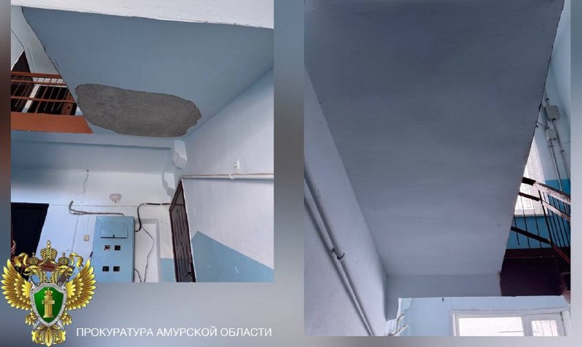 Вопрос безопасности: амурскую «управляйку» оштрафовали за осыпающуюся в подъезде штукатурку