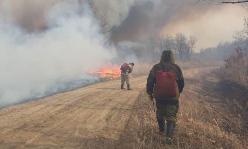 особый противопожарный режим отменили в большей части амурской области
