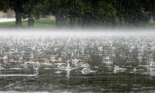 дождь в благовещенске за сутки «сделал» месячную норму и идет на рекорд

