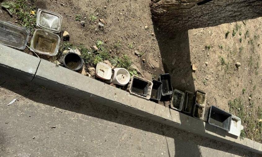Жители Благовещенска в сквере водников устроили «шведский стол» для птиц 